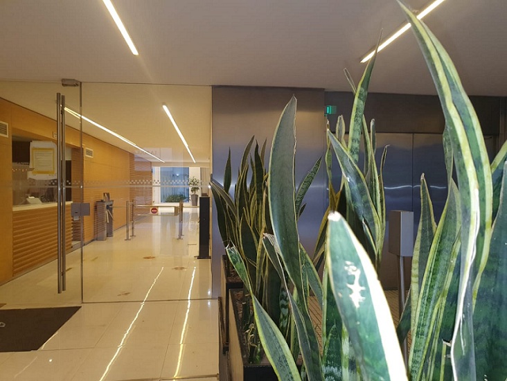 Estudio Donato & Asociados Recepcion